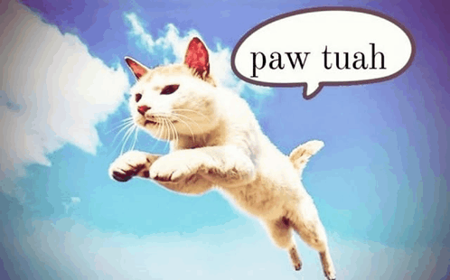 Paw Tuah!!!